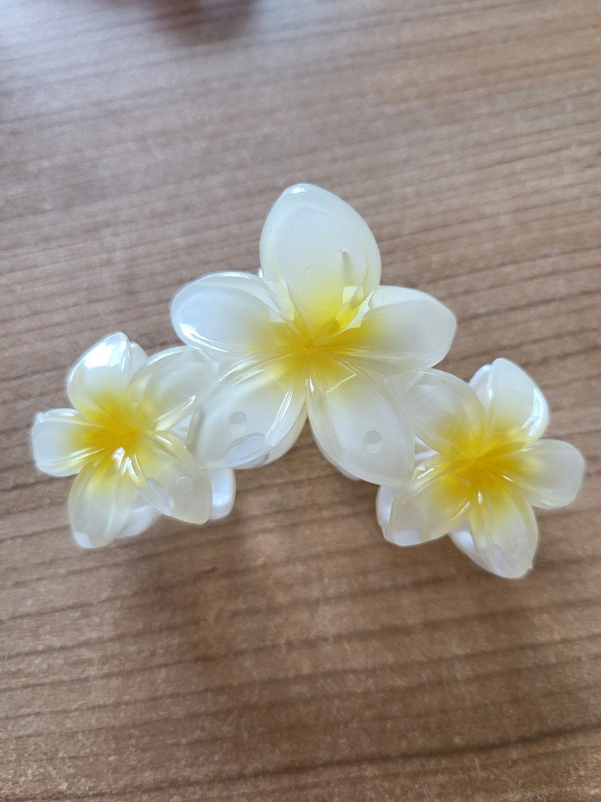 Nieuwe haarclip met frangipani bloemen, Ophalen of Verzenden, Nieuw