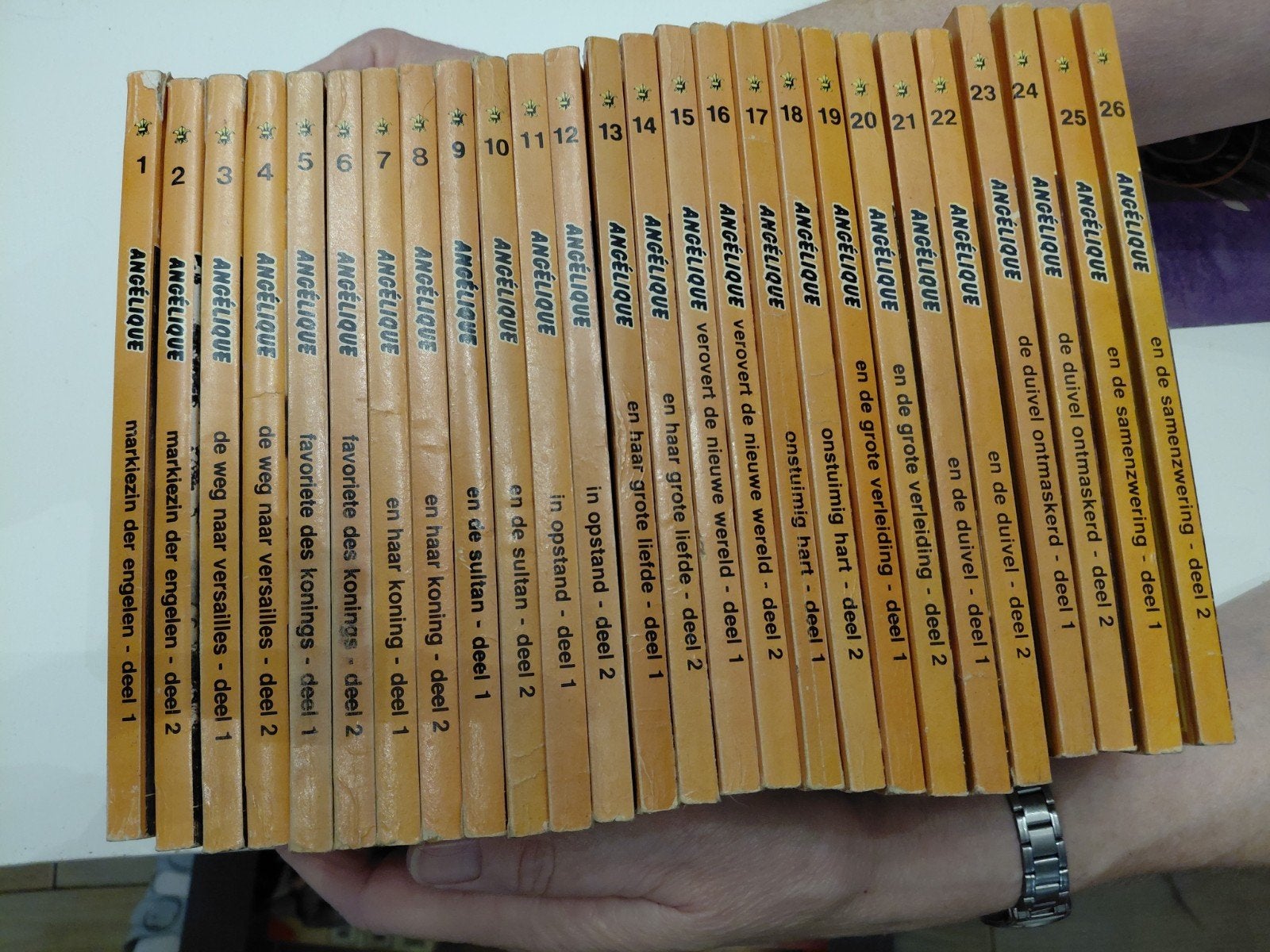 Complete serie Angelique boeken (26 delen), Ophalen, Gelezen, Anne en Serge Golon