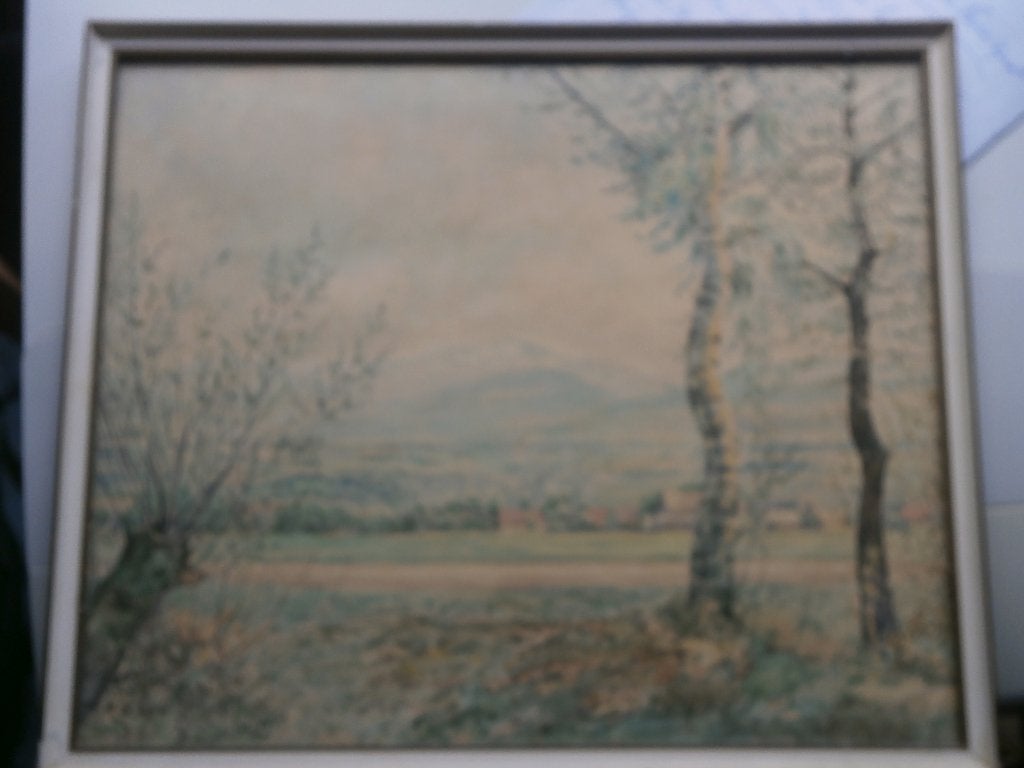 Europees schilderijtje ??? met bergen Sign. VITALE, Antiek en Kunst, Kunst | Schilderijen | Klassiek, Ophalen, Expressionistisch