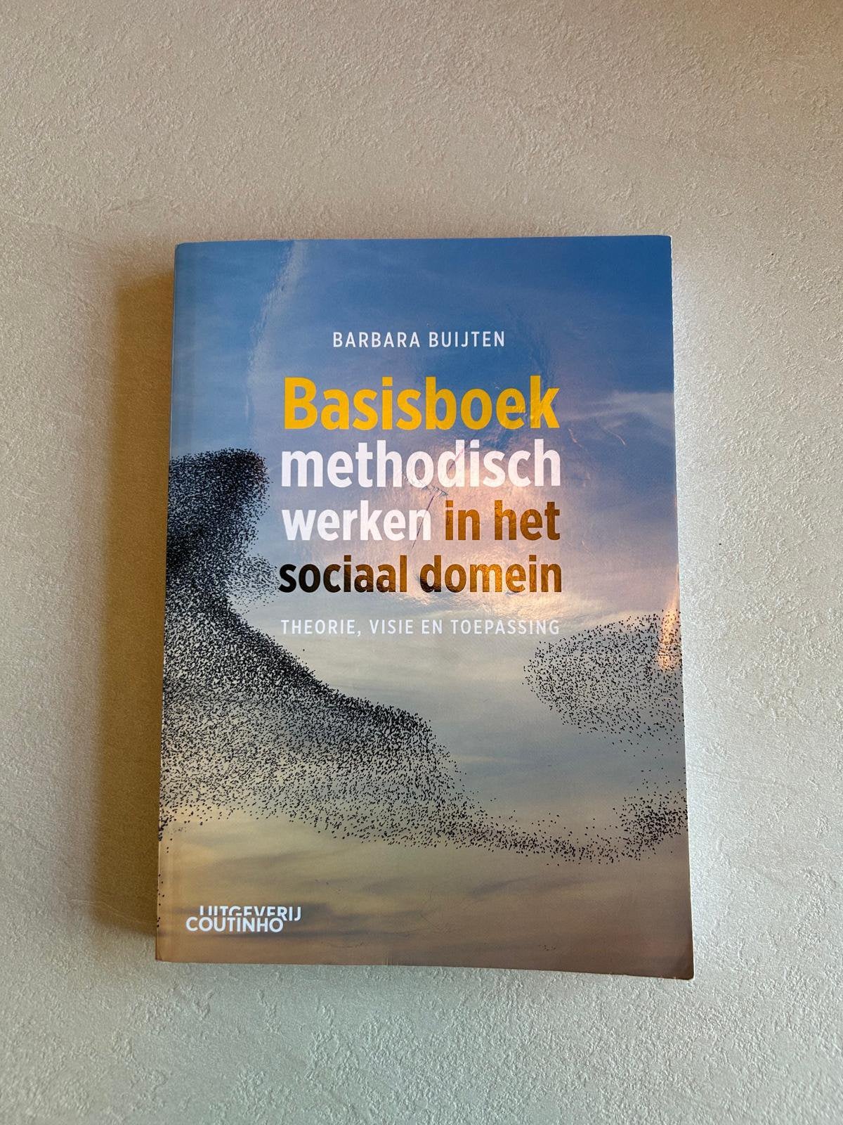 Basisboek methodisch werken in het sociaal domein, Boeken, Studieboeken en Cursussen, Zo goed als nieuw, Alpha, Barbara Buijten