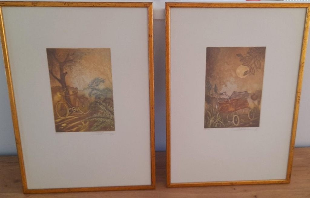 2 Handgesigneerde kleurenetsen Bram de Coe 1980 Gelimiteerd, Antiek en Kunst, Kunst | Litho's en Zeefdrukken, Gelimiteerde oplage