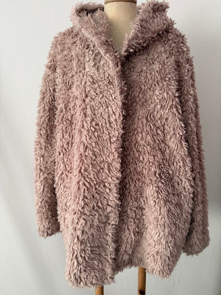 Mooie jas maat XL/XXL, Kleding | Dames, Jassen | Winter, Ophalen of Verzenden, Gedragen, Maat 46/48 (XL) of groter