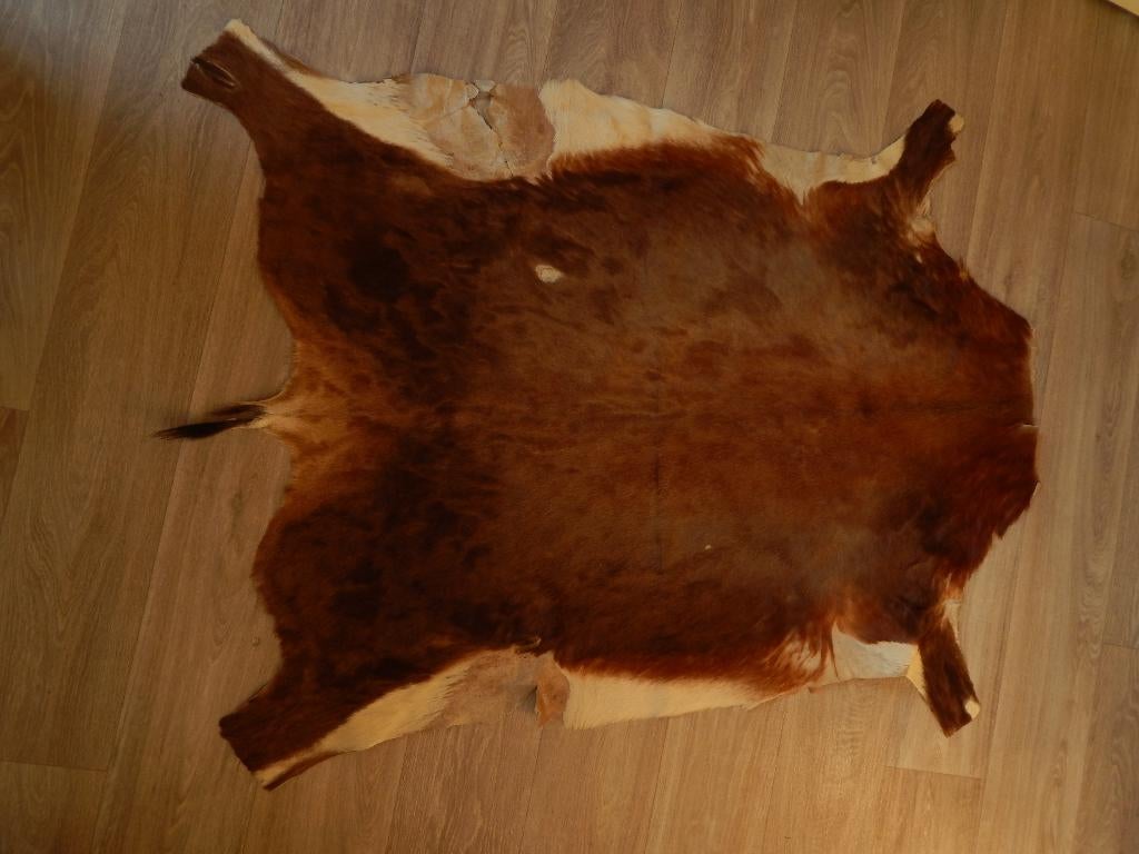 Kalfshuid / vloerkleed, Gebruikt, 100 tot 150 cm, Bruin, Rechthoekig