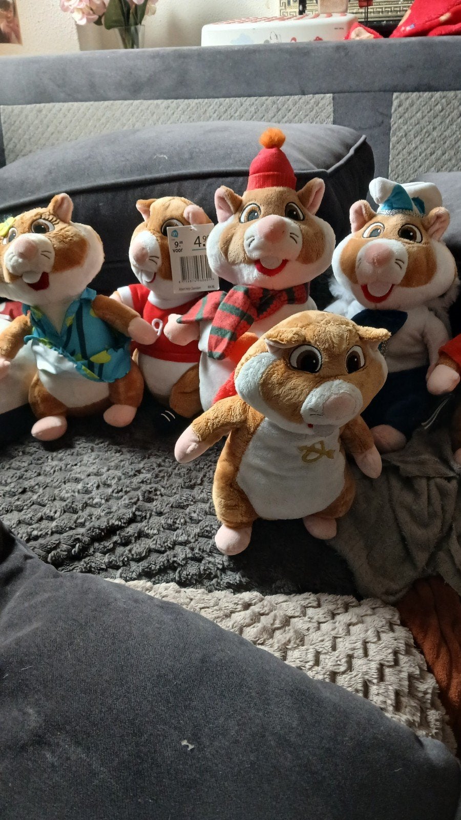 ah hamsters, Hamster, Ophalen of Verzenden, Zo goed als nieuw, Middelgroot (20 tot 80 cm)