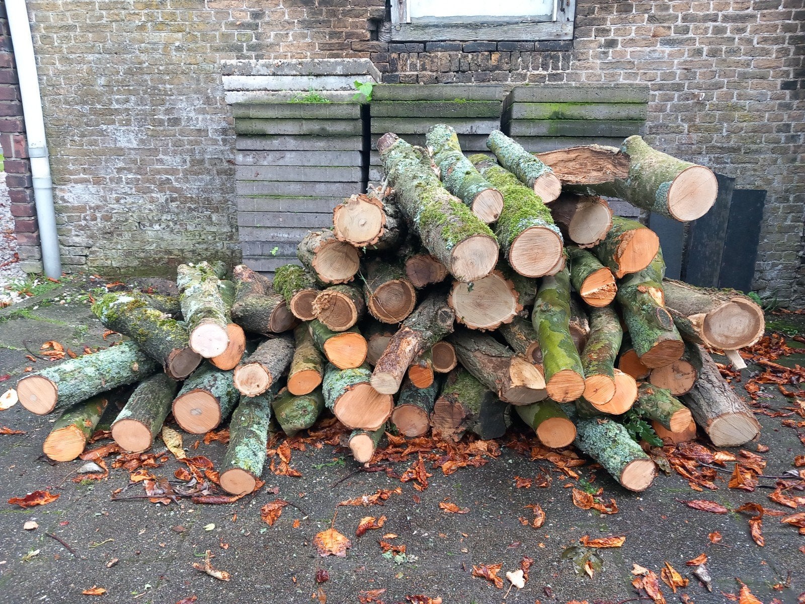 Haardhout, Minder dan 3 m³, Ophalen