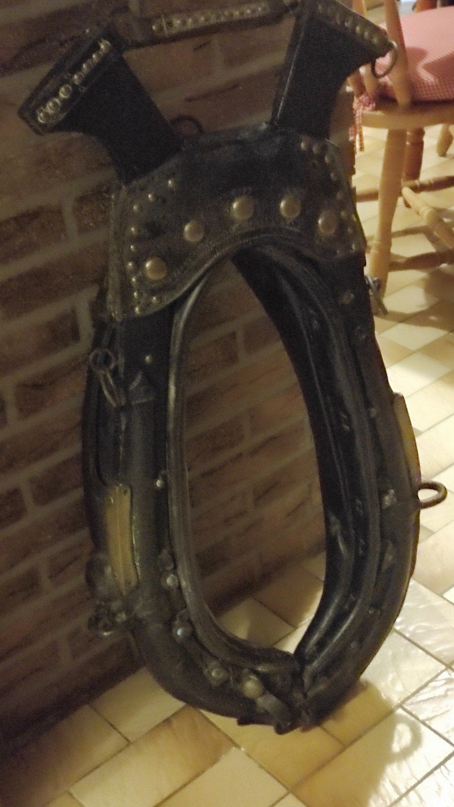 Antieke paardenhaam, Ophalen