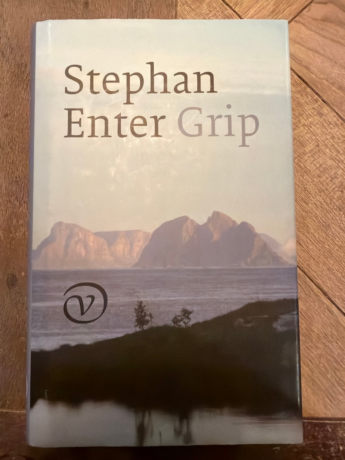 Stephan Enter - Grip (Hardcover), Boeken, Ophalen of Verzenden, Gelezen, Nederland