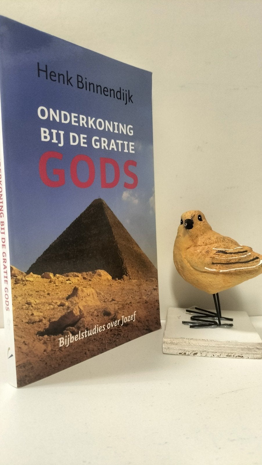 Binnendijk, Henk; Onderkoning bij de gratie Gods, Ophalen of Verzenden, Gelezen, Christendom | Protestants