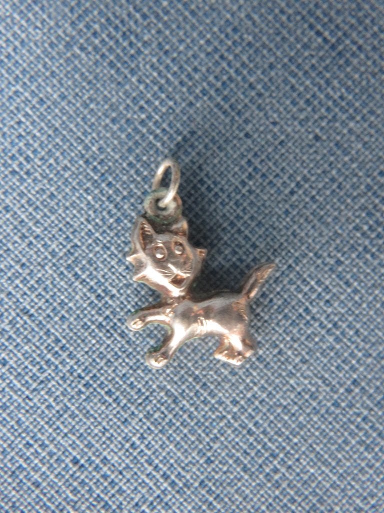 Zilveren poes hangertje - 20e eeuw, Gebruikt, Ophalen of Verzenden, Zilver, Dier