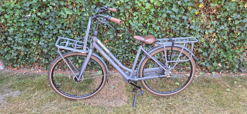 Gazelle HeavyDutyNL Transportfiets (Frame 49), 47 tot 50 cm, Ophalen, Gebruikt, Gazelle