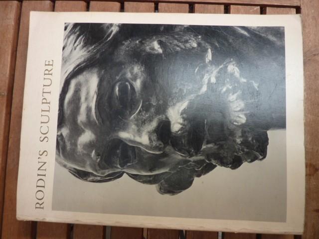 Rodin's Sculpture, Boeken, Overige Boeken, Gelezen, Verzenden