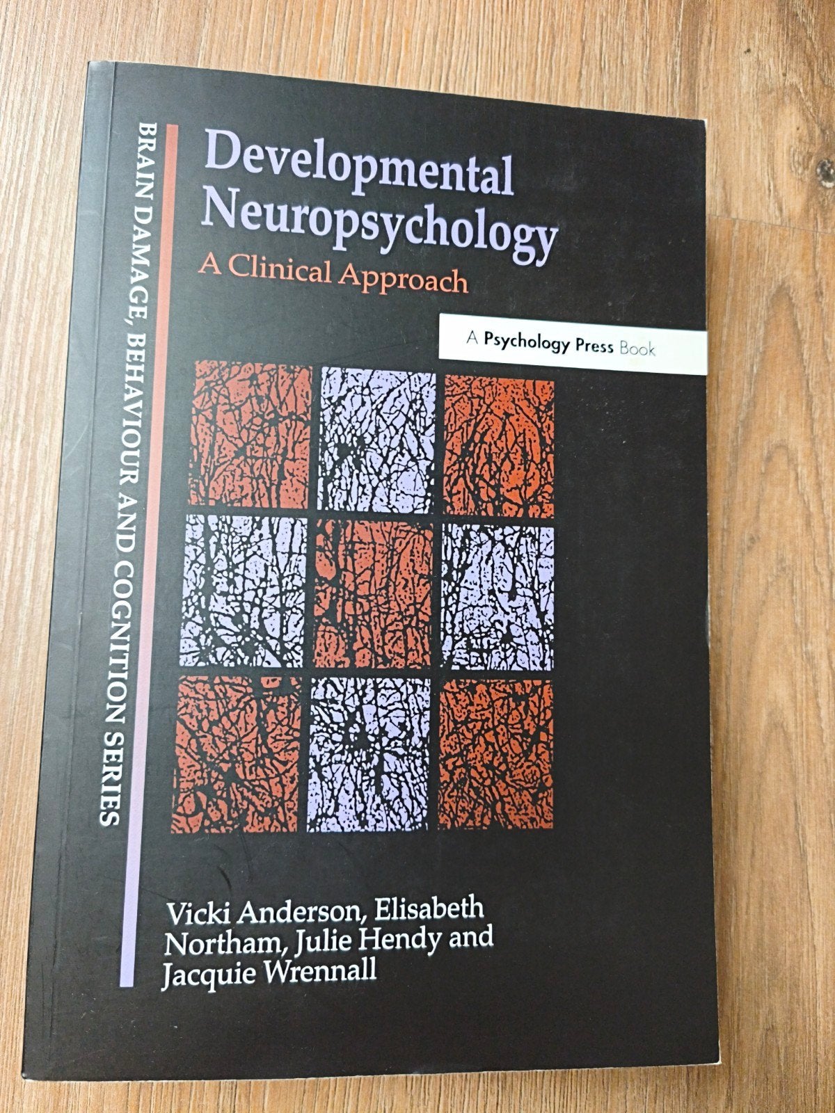 Developmental Neuropsychology: A Clinical Approach, Anderson et all., Ophalen of Verzenden, Beta, WO