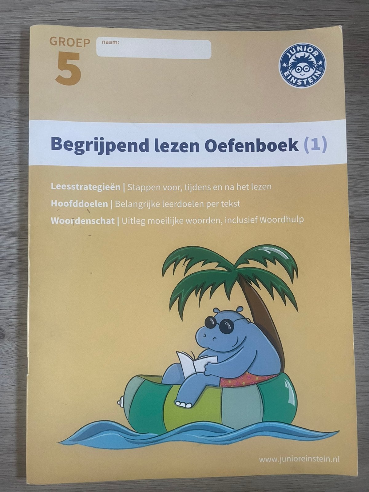 Junior einstein begrijpend lezen oefenboek, Ophalen of Verzenden, Zo goed als nieuw