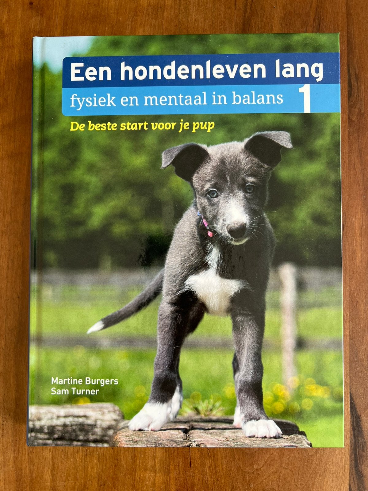 De beste start voor je pup, Ophalen of Verzenden, Nieuw, Honden