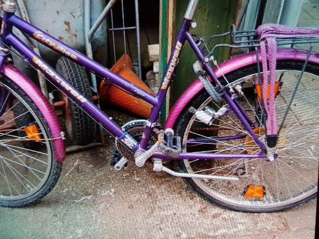 Meisjes fiets, Ophalen, Gebruikt, 20 inch