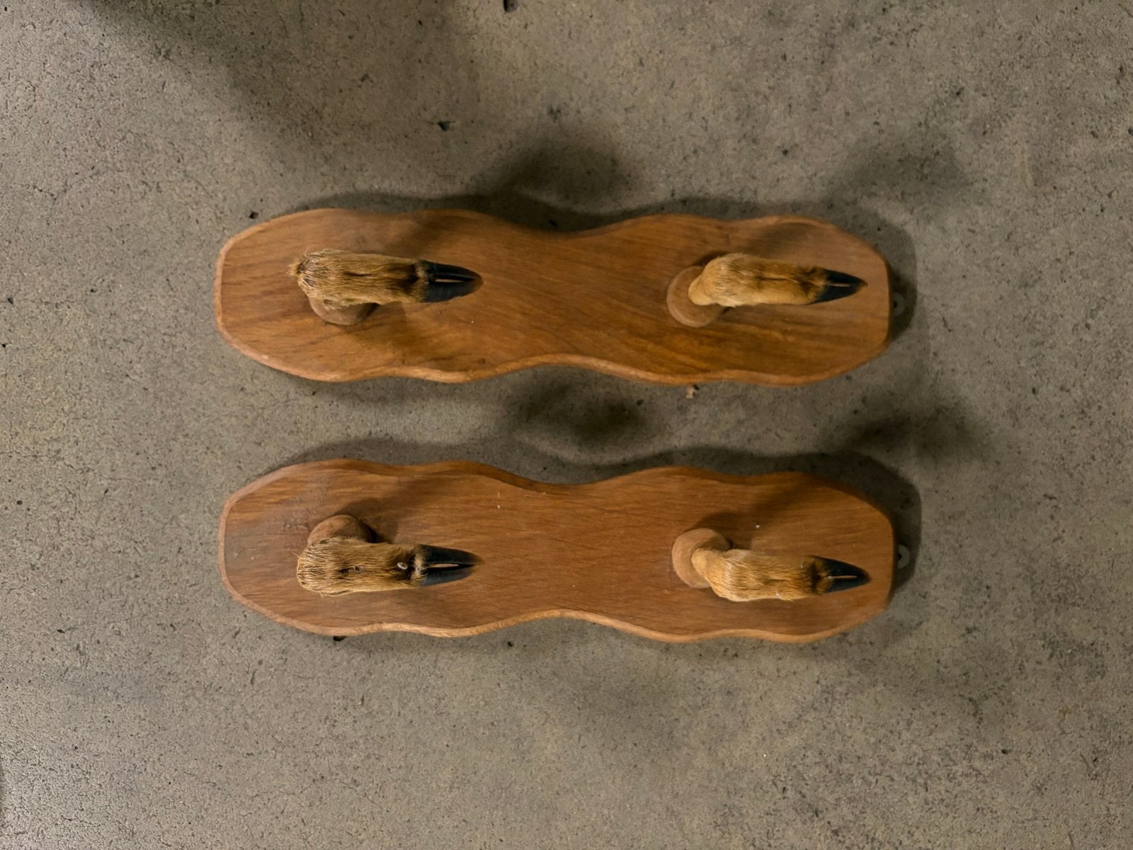 Set van 3 unieke hertenpoot kapstokken, Gebruikt, Wandhaken, Verzenden, Minder dan 100 cm