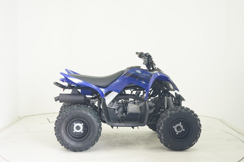 Yamaha YFM 110 (bj 2026), Motoren, Quads en Trikes