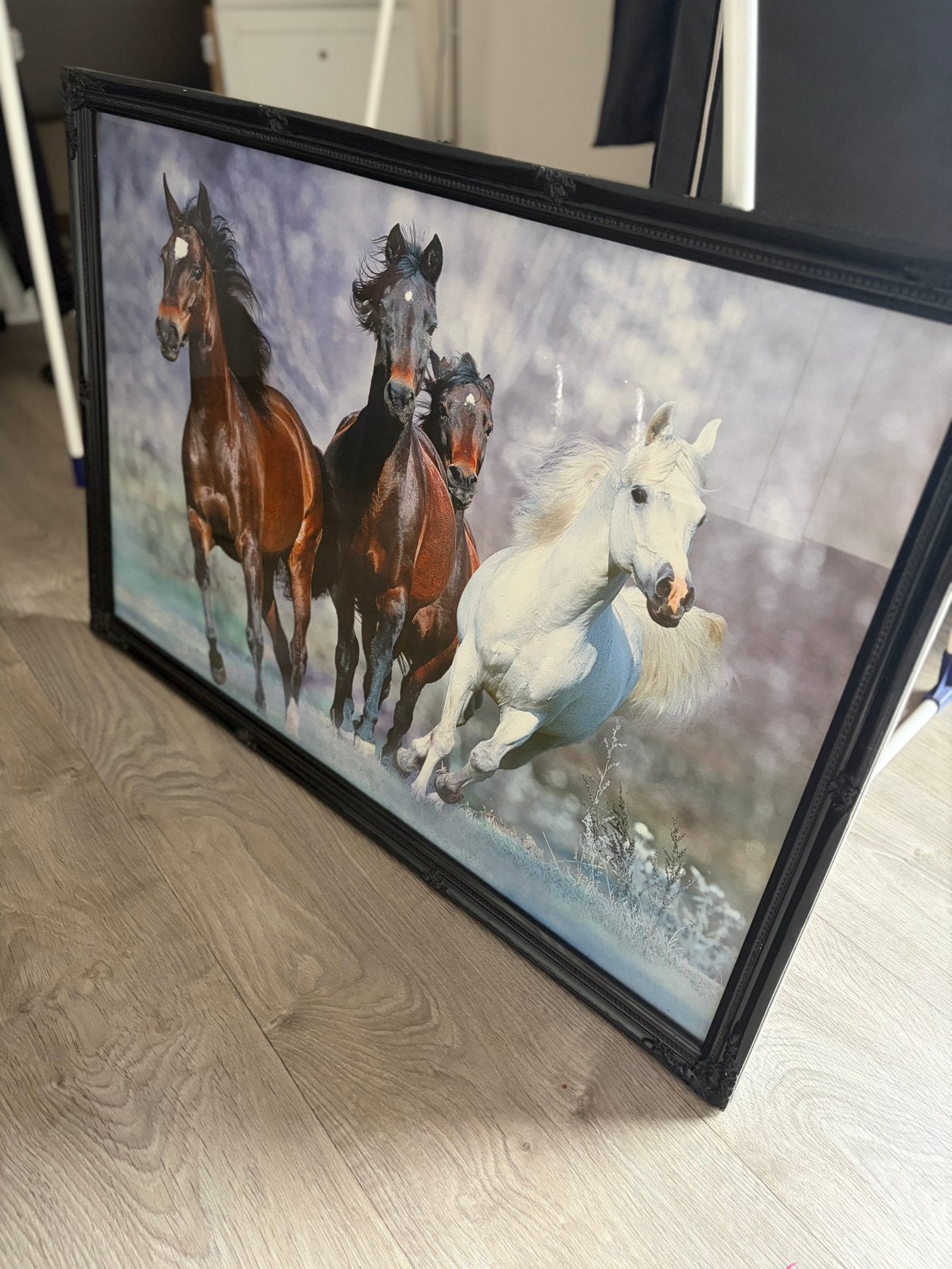 Lijst met paardenposter, Ophalen, Gebruikt, 50 tot 75 cm, Foto of Poster