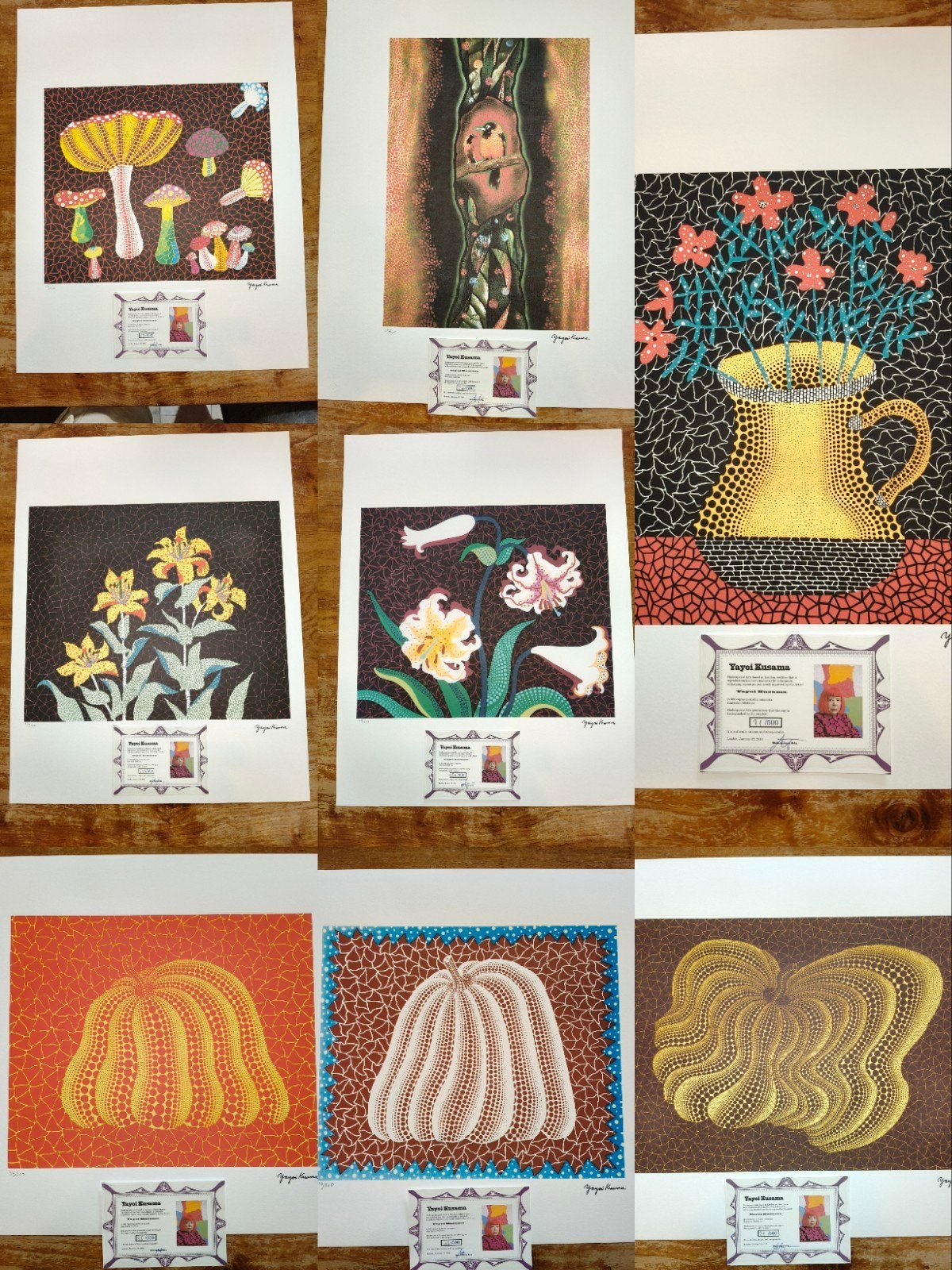 Yayoi Kusama, Ophalen of Verzenden, Lithografie