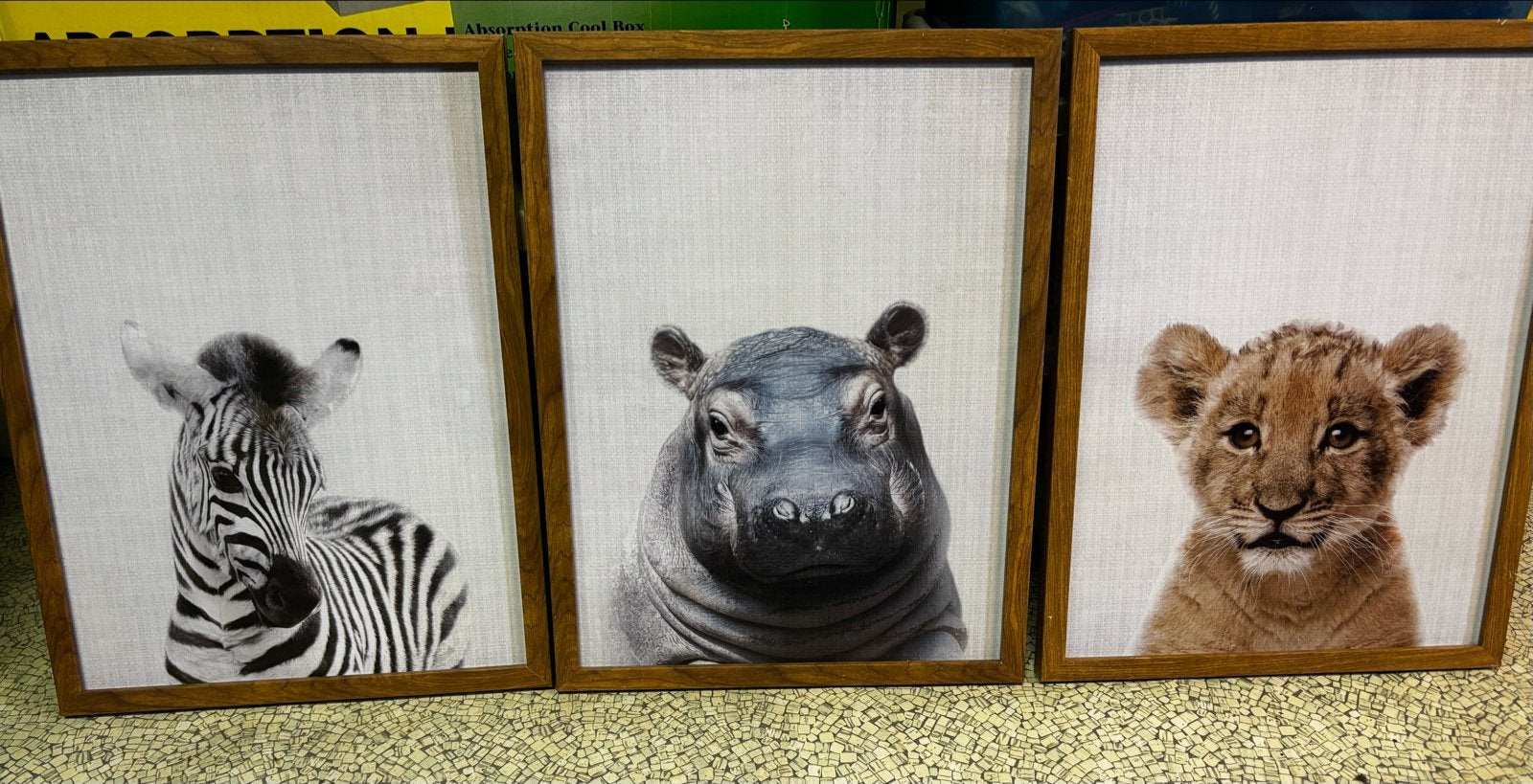 Set van 3 baby dieren posters in lijst., Huis en Inrichting, Woonaccessoires | Schilderijen, Tekeningen en Foto's, Ophalen of Verzenden