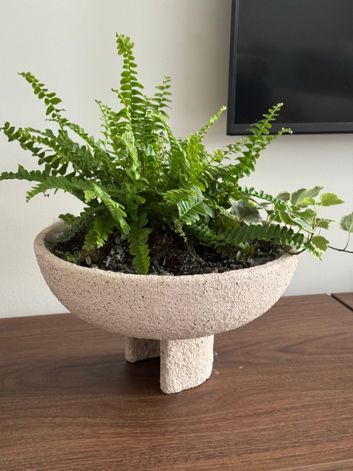 decoratieve plantenbak met groene planten, Ophalen, Zo goed als nieuw, Rond