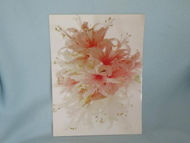1 EURO OF GRATIS Foto roze lelies op dun karton 18 x 24 cm, Diversen, Ophalen, Nieuw