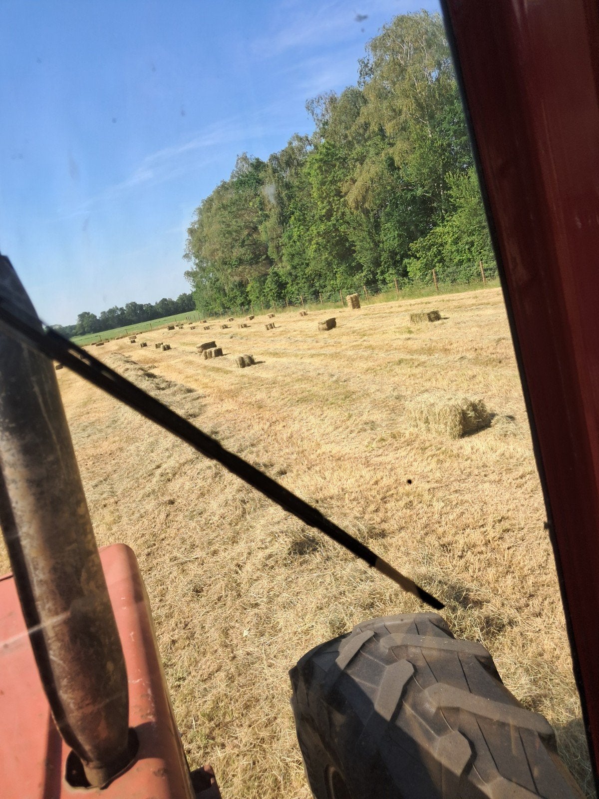 Vers geperst hooi - Ideaal voor vee en huisdieren, Ophalen of Verzenden, Vee