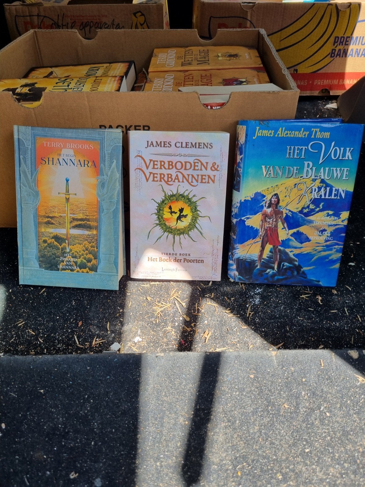 Diverse sf boeken oa shanara, Ophalen of Verzenden, Gelezen, Terry Brooks, James Clemens, James Alexander Thom