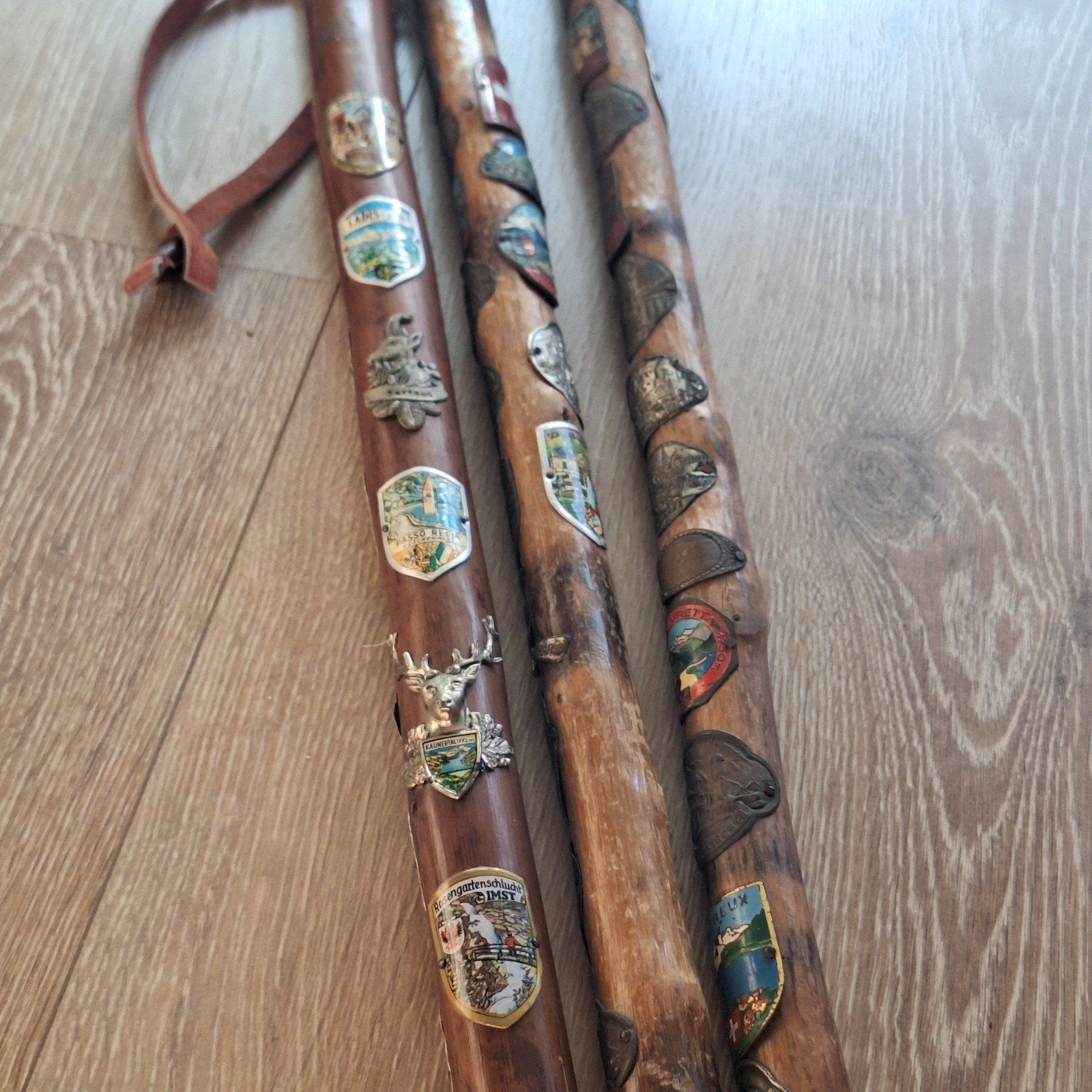 wandelstok schildjes 3 stokken, Ophalen of Verzenden, Gebruikt
