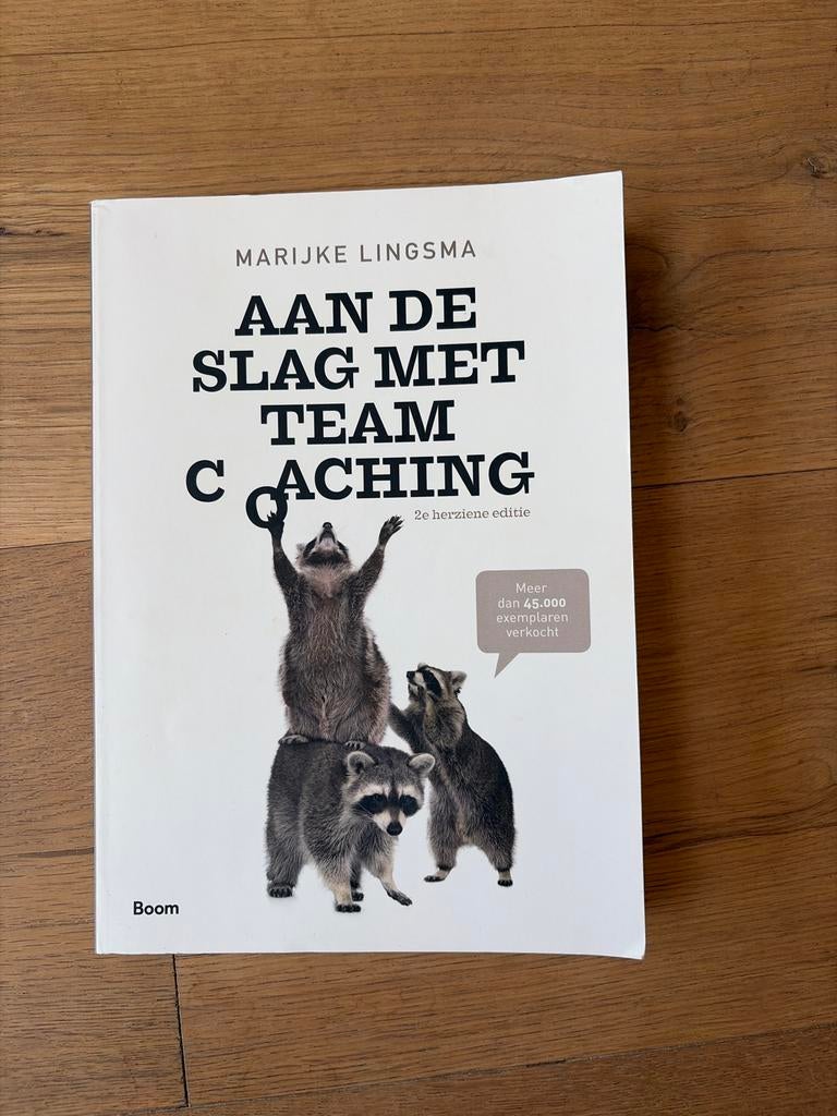 Aan de Slag met Teamcoaching - Marijke Lingsma, Ophalen of Verzenden, Zo goed als nieuw
