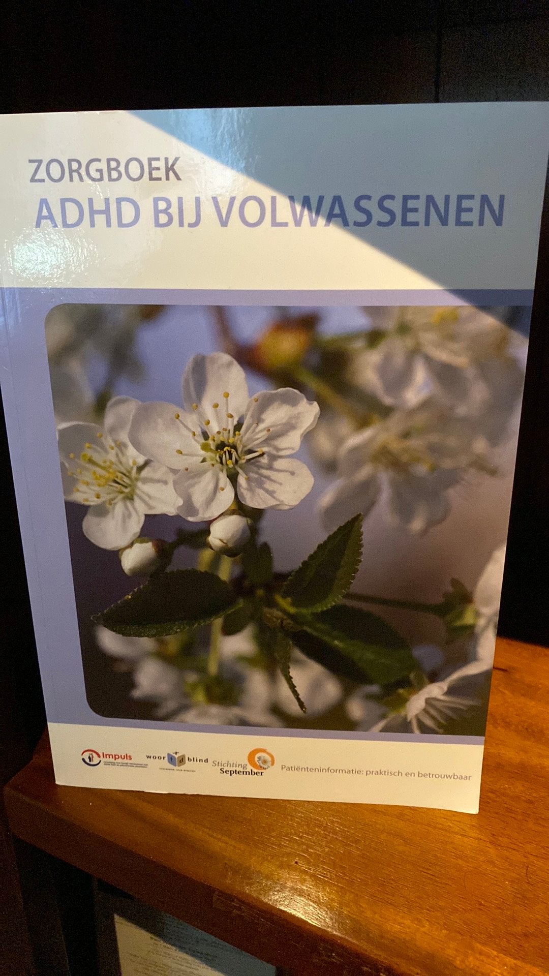 ADHD bij volwassenen, Boeken, Ophalen, Nieuw