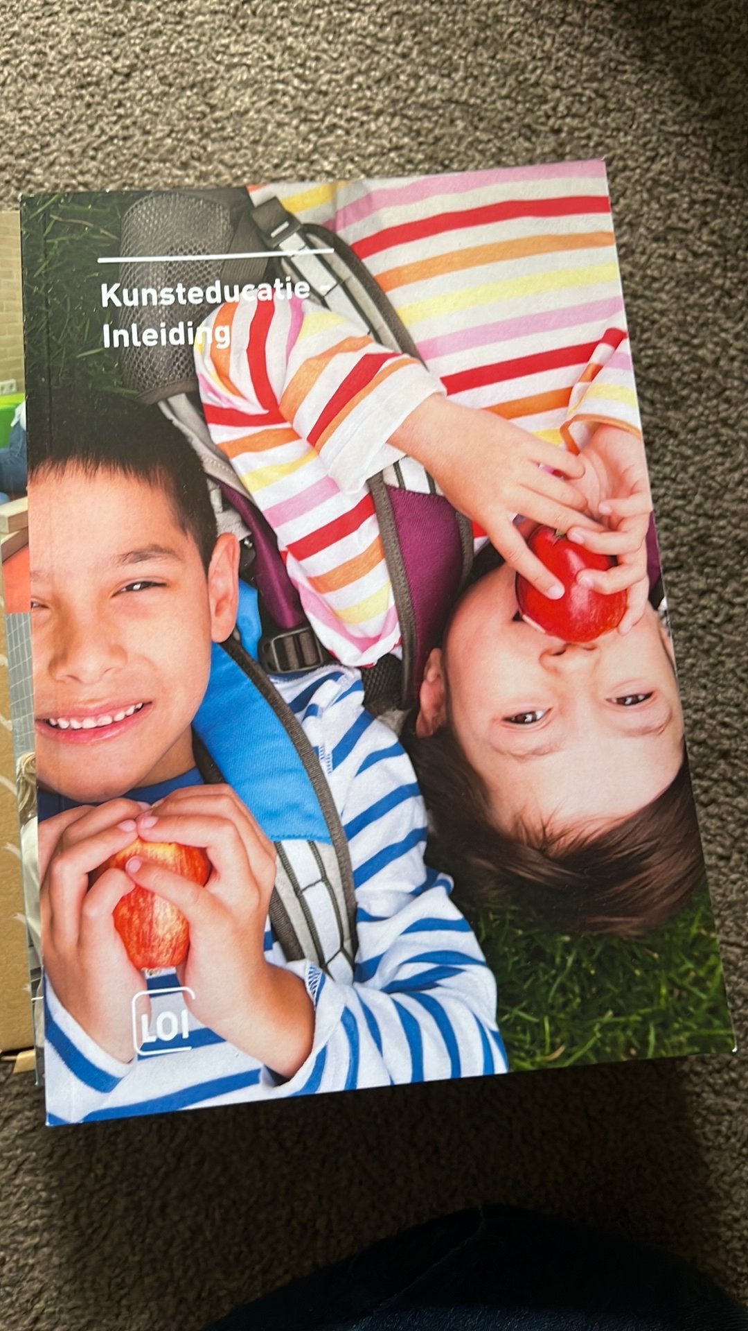 Kunst educatie inleiding, Boeken, Ophalen of Verzenden, Zo goed als nieuw, Overige niveaus