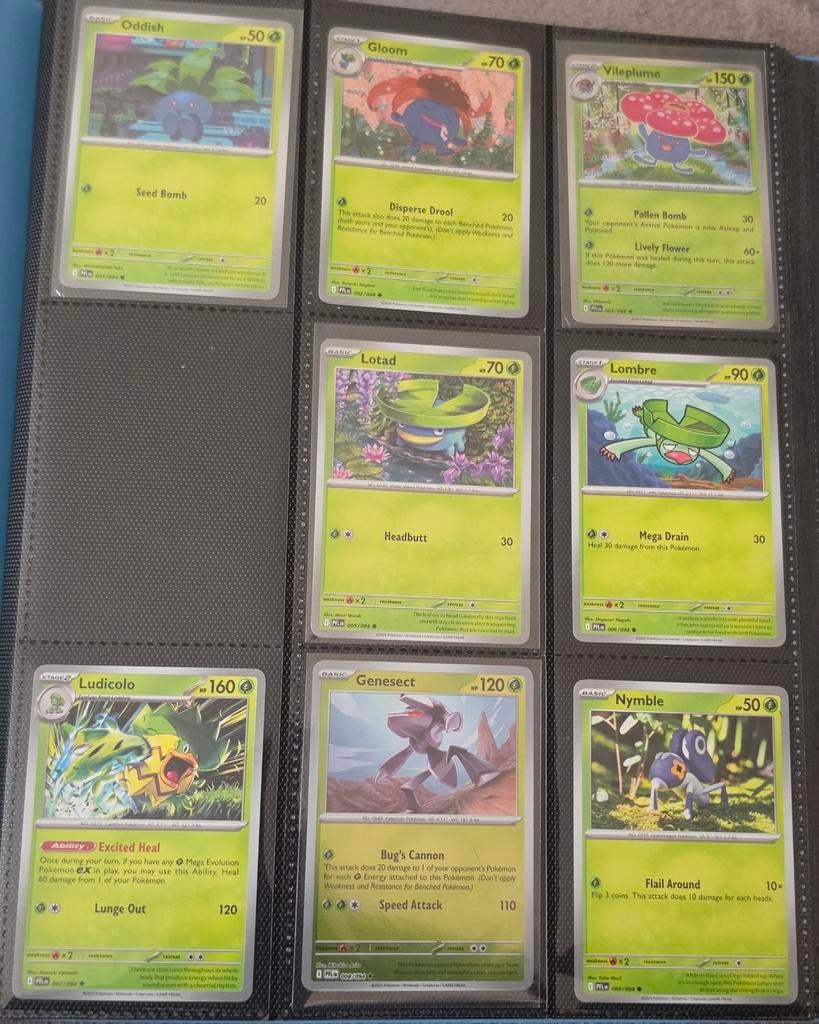 Phantasmal Flames base set (bijna compleet), Ophalen of Verzenden, Zo goed als nieuw, Meerdere kaarten