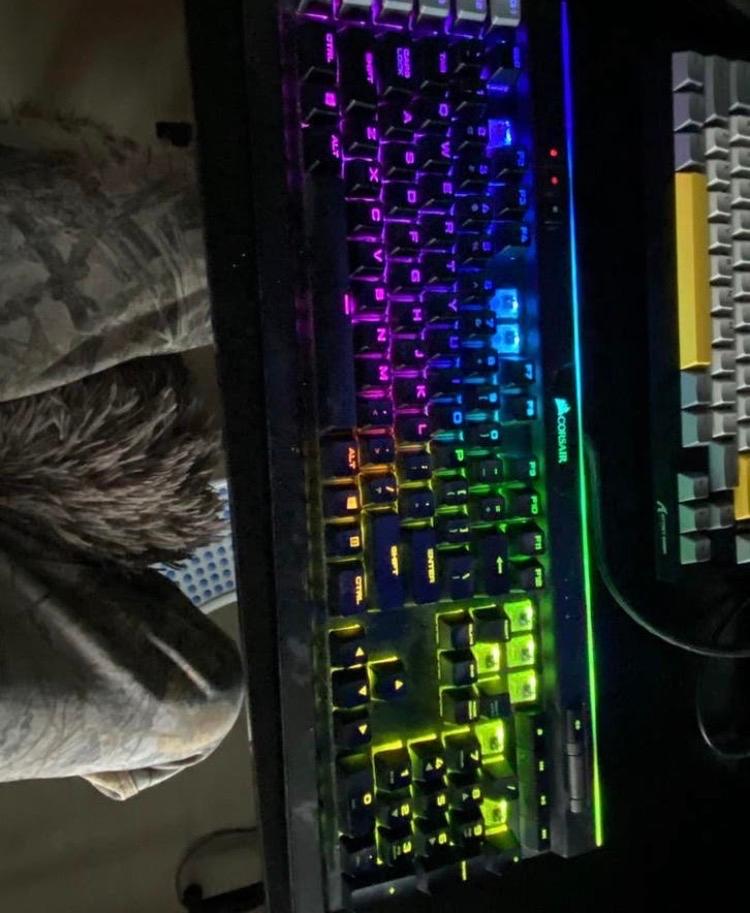 Corsair Gaming Toetsenbord met Grijze Switches en Polssteun, Computers en Software, Desktop Pc's, Ophalen of Verzenden, Gebruikt