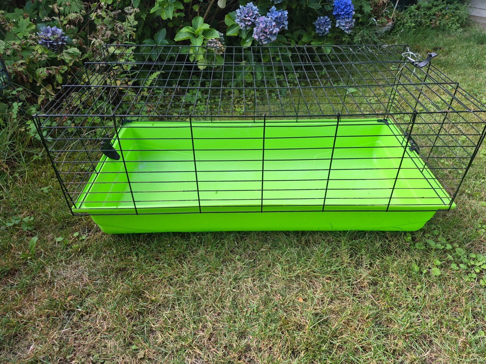 Gratis ophalen: Knaagdier hok, Hok, 75 tot 110 cm, Cavia, Ophalen