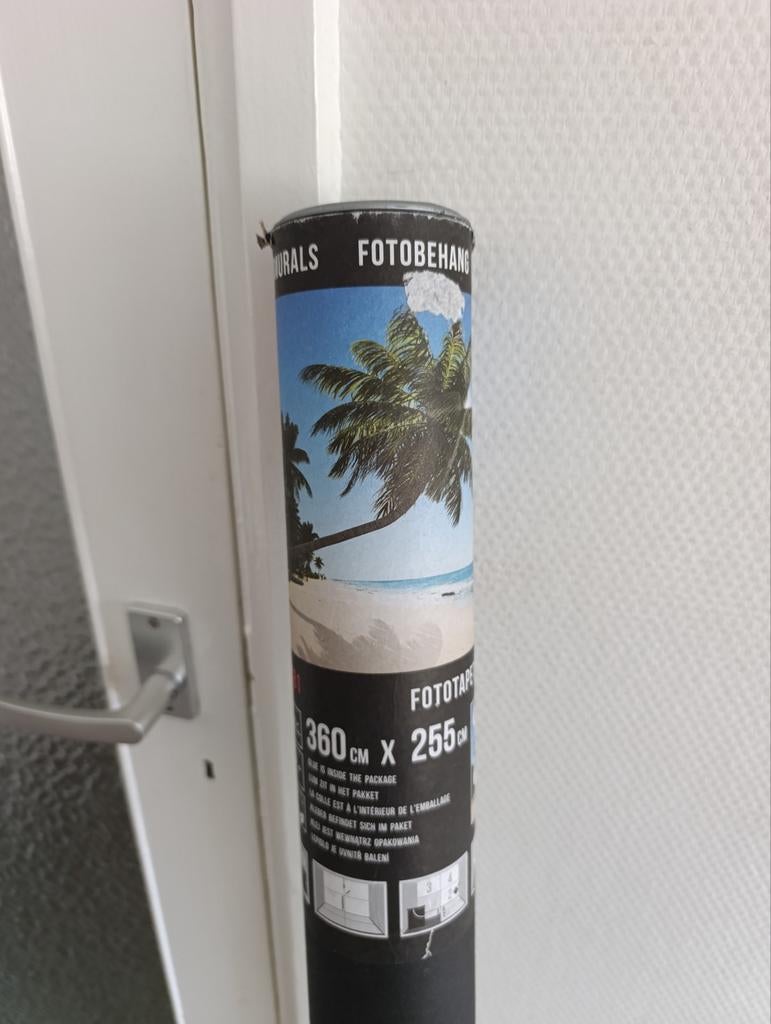 Fotobehang Strand met Palmbomen - 360x255 cm, Ophalen of Verzenden, 50 tot 75 m², Groen, Tropisch, Strand, Natuur