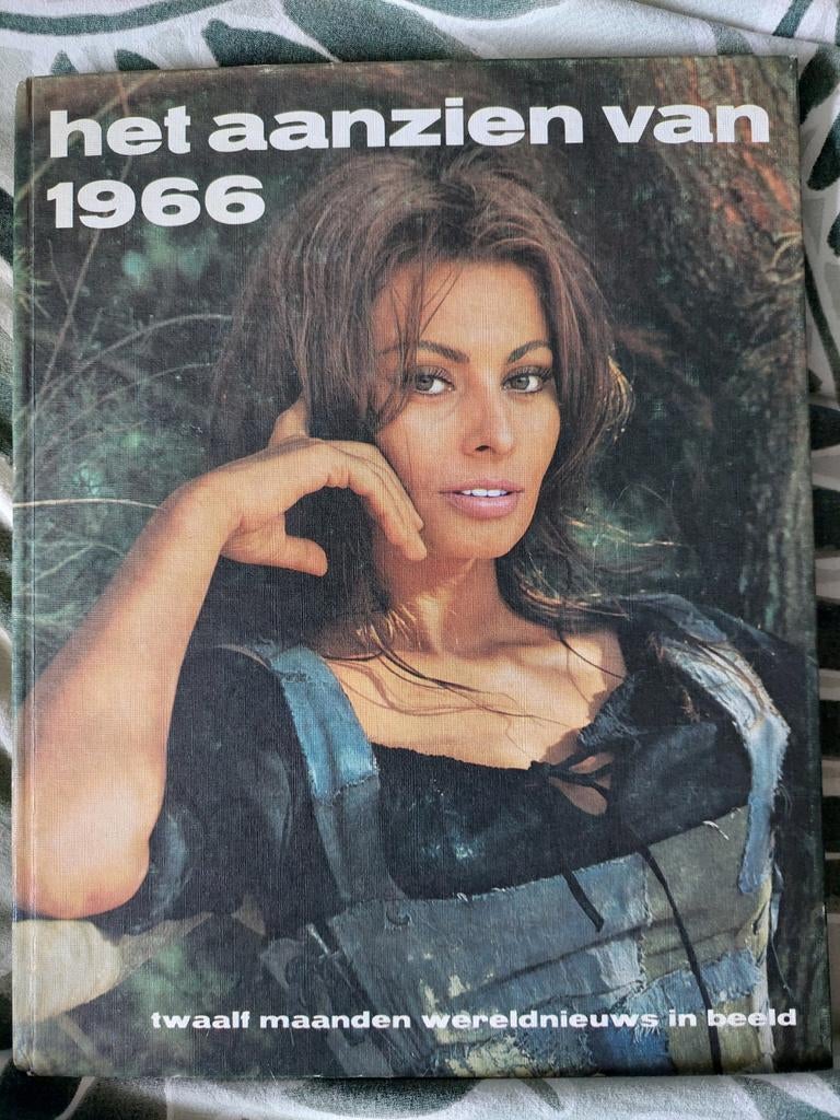 Het Aanzien van 1966 - Twaalf maanden wereldnieuws in beeld, Boeken, Ophalen of Verzenden, Gelezen, Overige typen