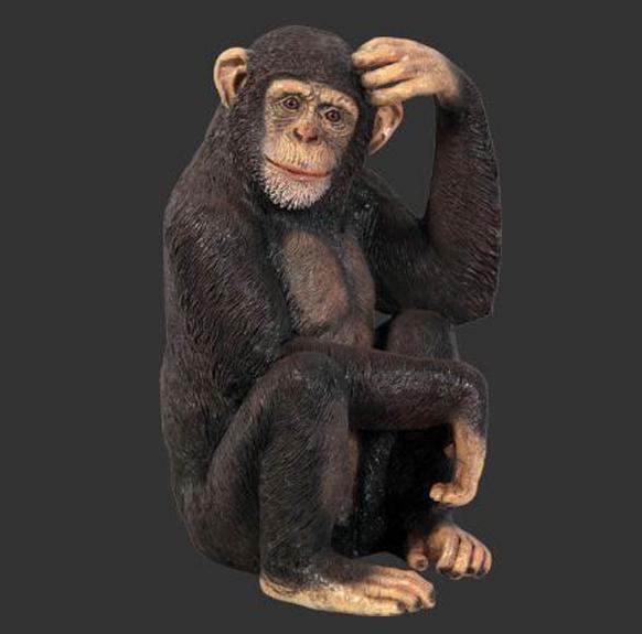 Chimpanzee – Chimpansee beeld Hoogte 70 cm, Ophalen, Nieuw, Overige typen