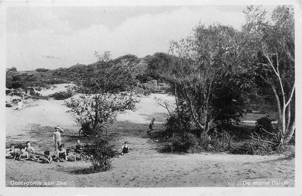 379-207-023 Oostvoorne, Verzenden, Voor 1920, Zuid-Holland