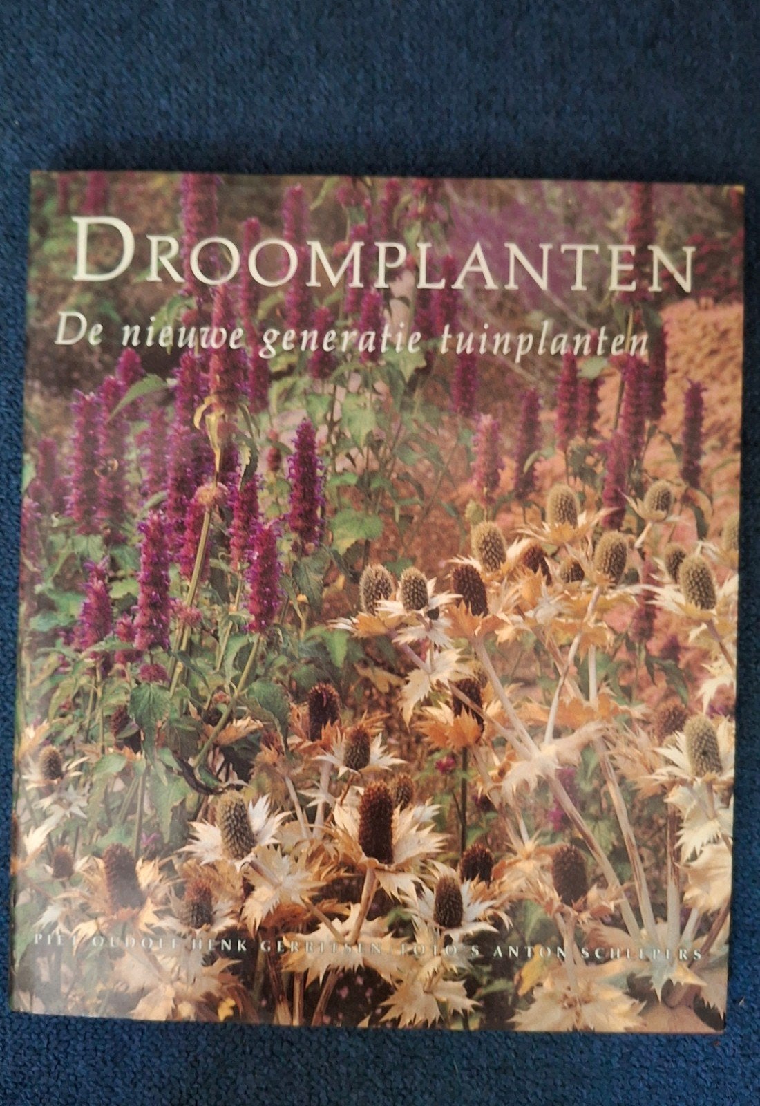 Droomplanten, Piet Oudolf, Boeken, Ophalen of Verzenden, Overige onderwerpen