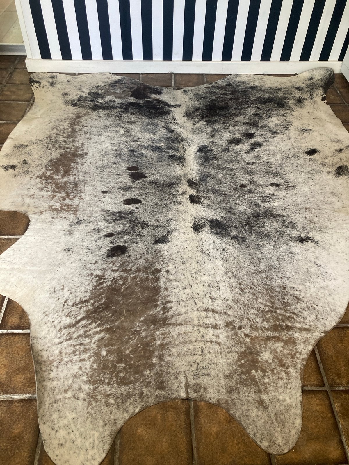 Prachtig koeienhuid vloerkleed, zwart en wit, Ophalen, Gebruikt, Wit, 150 tot 200 cm