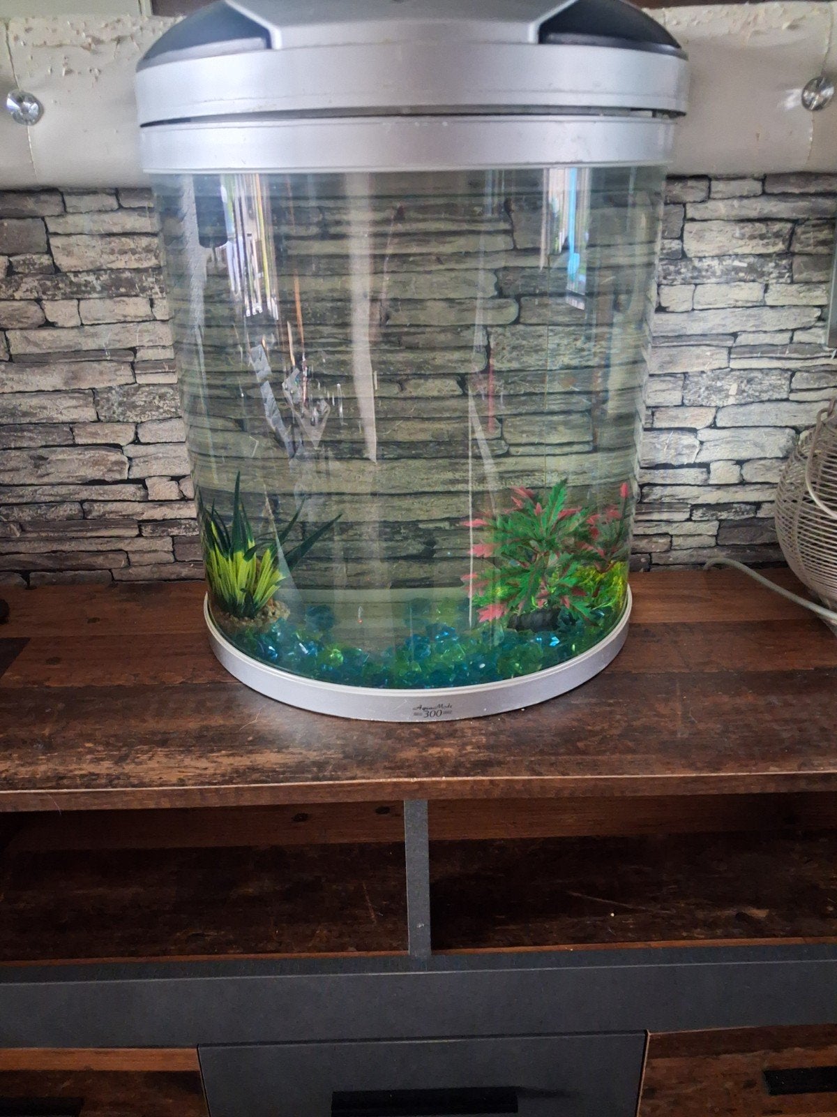 Gratis aquarium, Ophalen, Leeg aquarium
