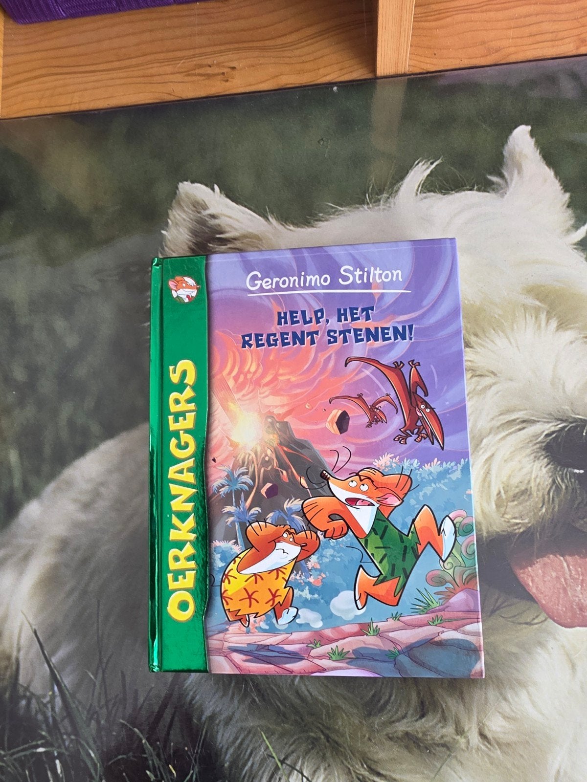 geronim stilton, oerknagers., Ophalen of Verzenden, Zo goed als nieuw, Fictie algemeen