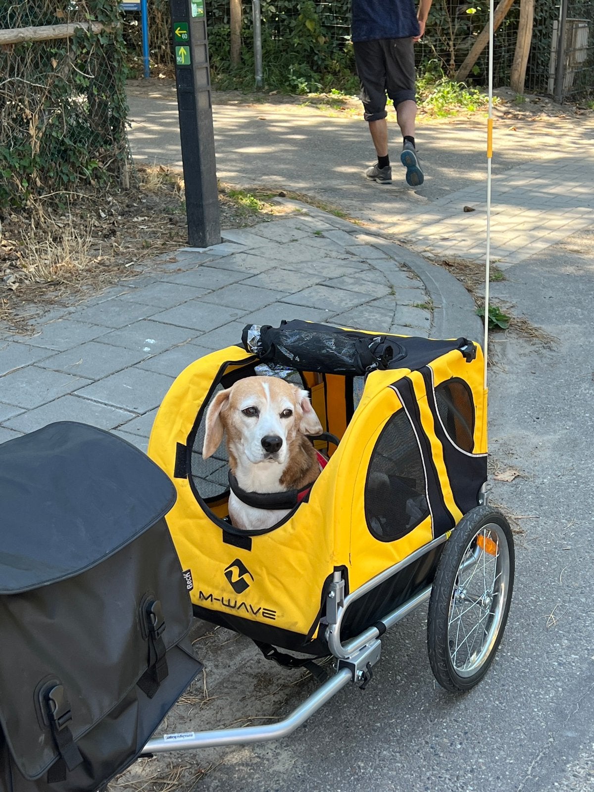 Honden fietskar M-Wave , middel grote hond, Fietsen en Brommers, Ophalen, Minder dan 20 kg, Opvouwbaar, Zo goed als nieuw