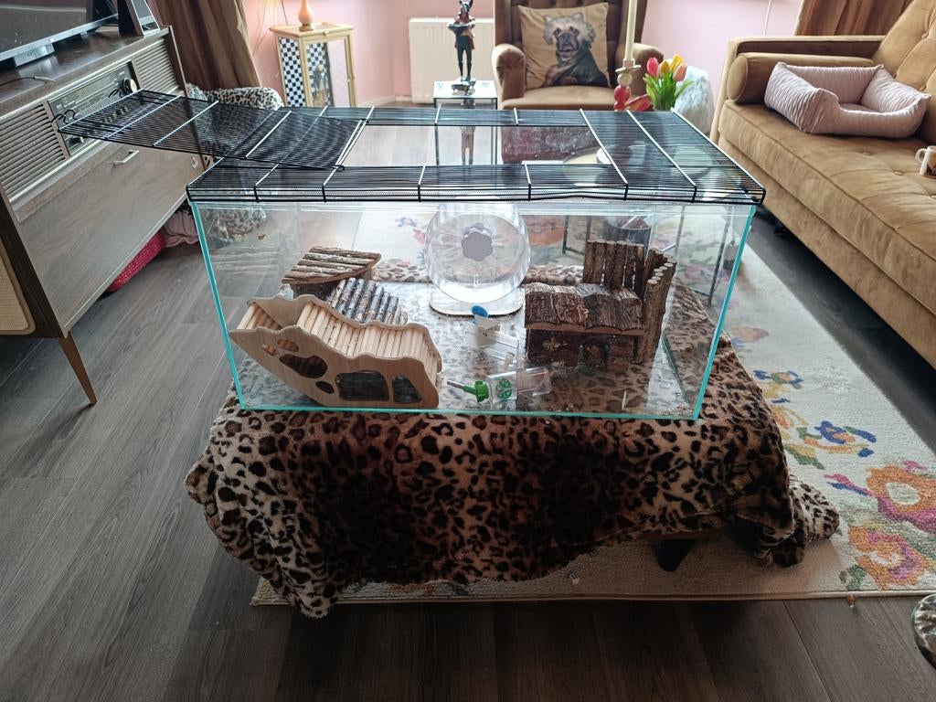 Dwerghamster kooi//aquarium/knaagdier terrarium 75x45x37 cm, Gebruikt, 75 tot 110 cm, Ophalen, Minder dan 60 cm