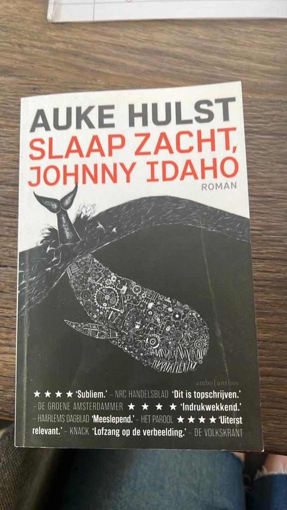 Auke Hulst - Slaap zacht, Johnny Idaho, Ophalen of Verzenden, Zo goed als nieuw, Auke Hulst
