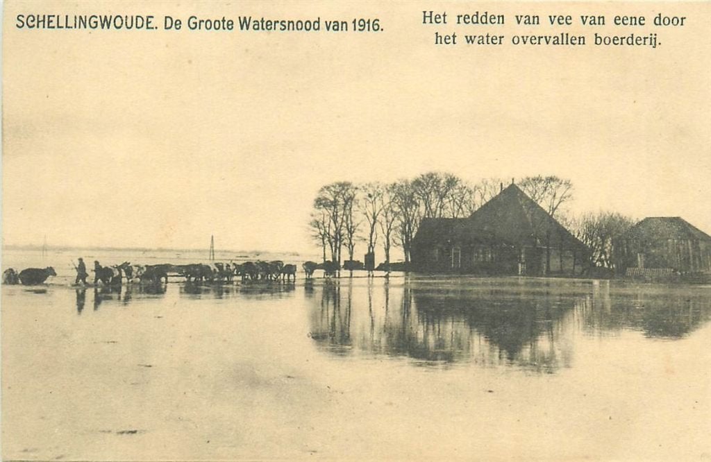 702-042-035 Amsterdam Schellingwoude, Verzamelen, Verzenden, Voor 1920, Noord-Holland