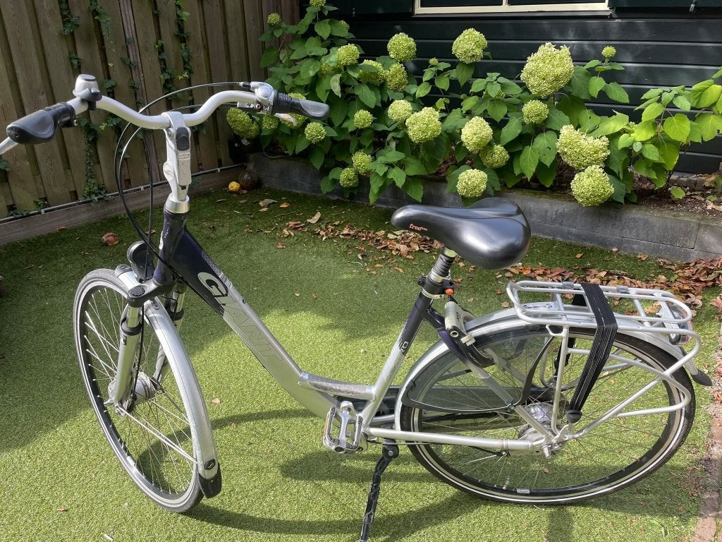 Giant Centro CS 1 LDS (dames), framemaat M / 50 cm, Ophalen, Gebruikt, Versnellingen, Giant