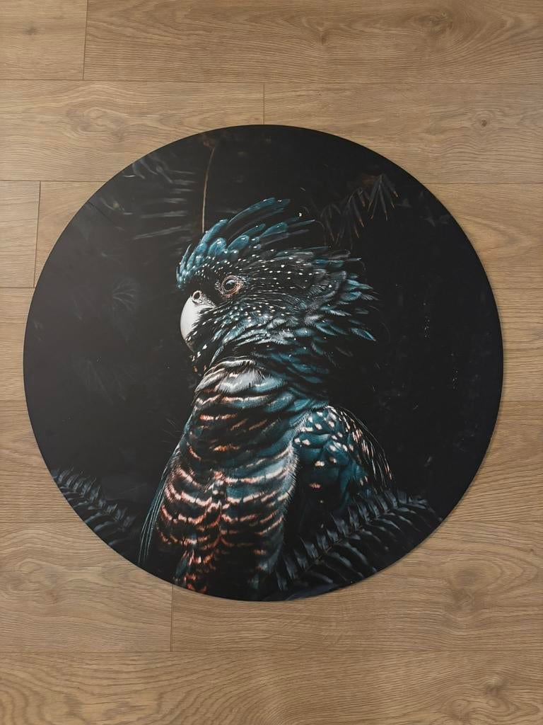 Wanddecoratie Papegaai 80cm, Ophalen, Zo goed als nieuw