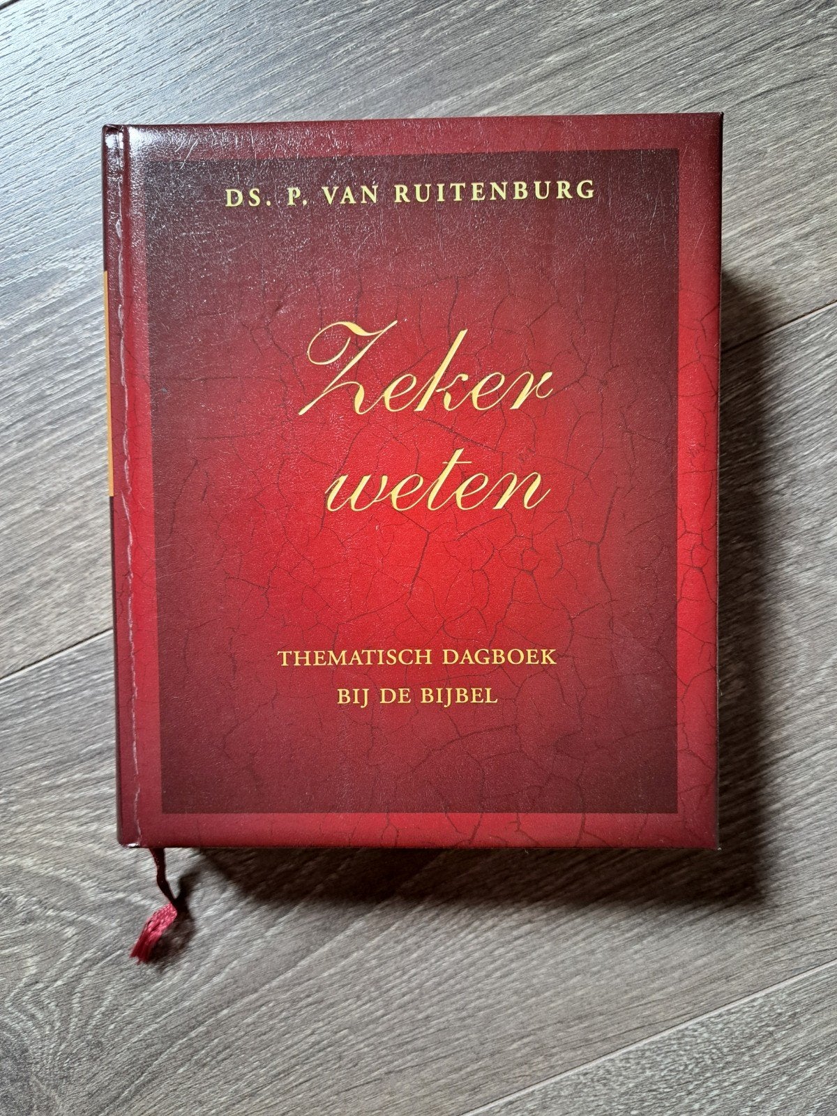 P. van Ruitenburg - Zeker weten, Ophalen of Verzenden, Zo goed als nieuw, P. van Ruitenburg